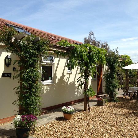 Ashford House B&B Wells Exterior photo